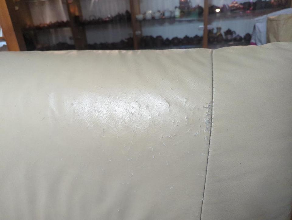 沙發清潔案件圖片