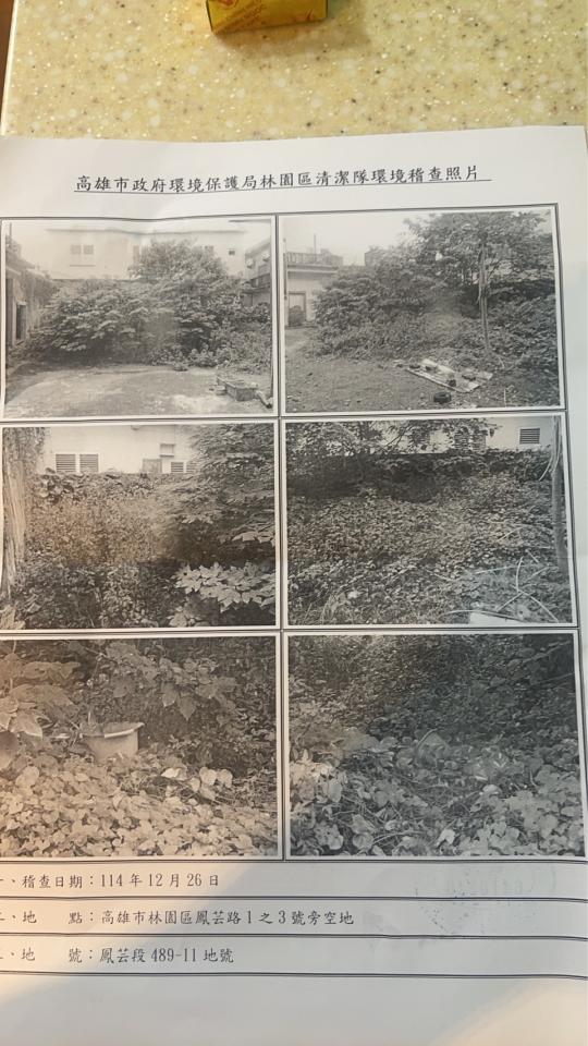 園藝維護案件圖片