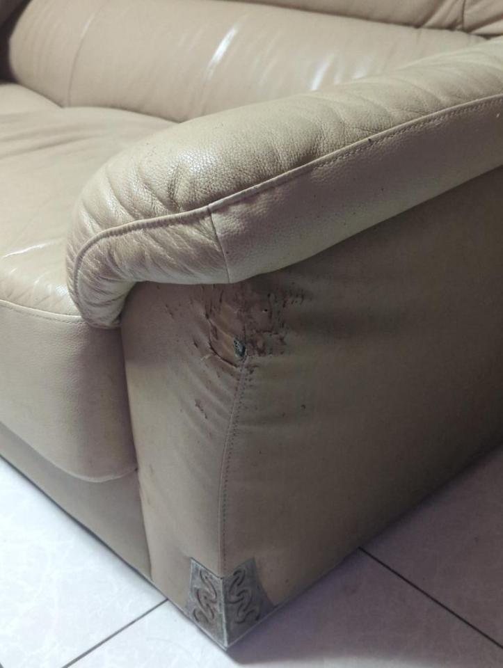 沙發修理案件圖片