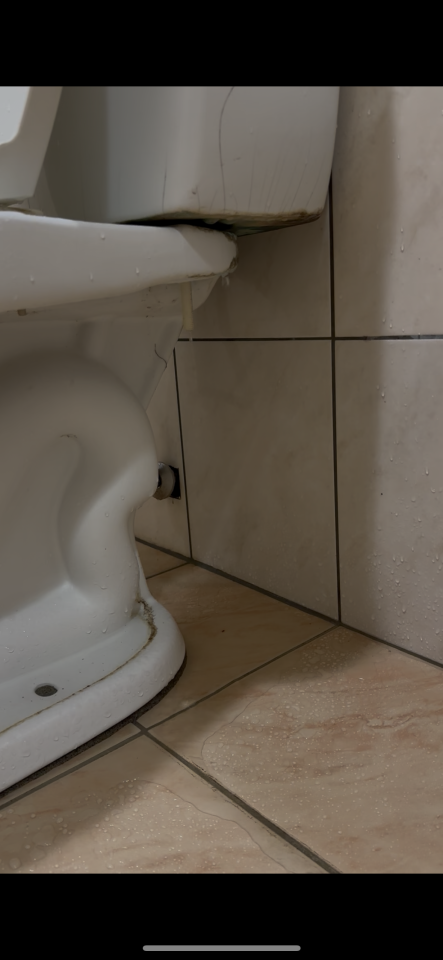 馬桶裝修案件圖片