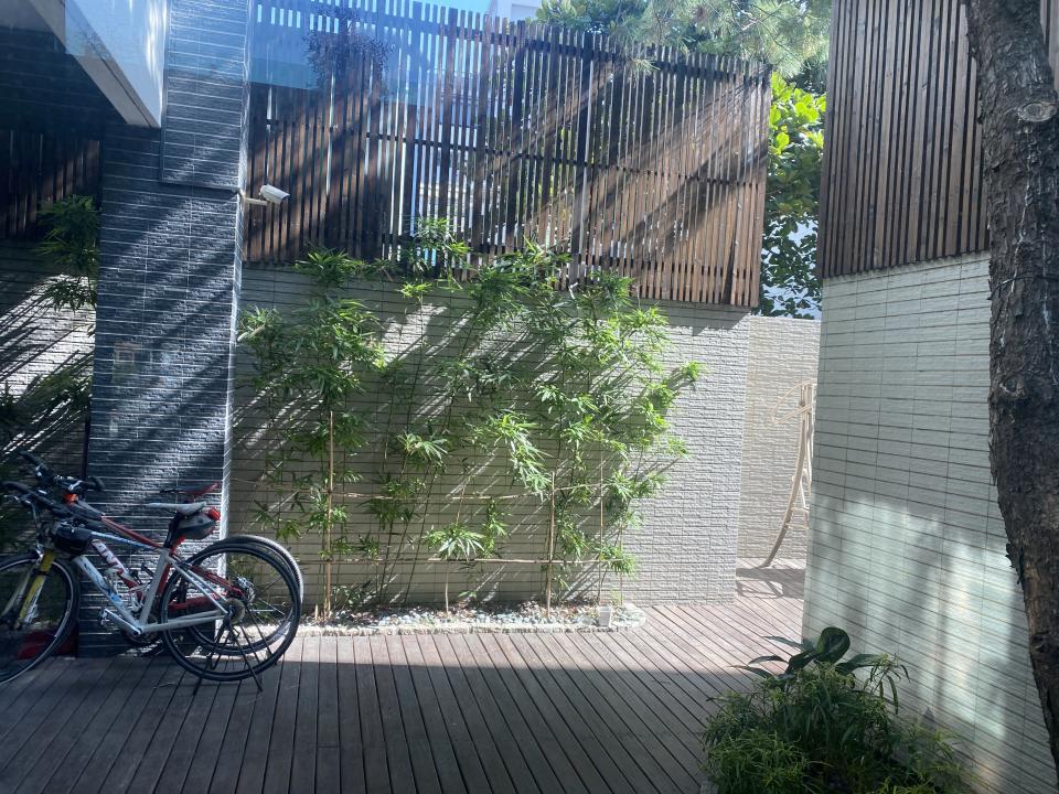 園藝維護案件圖片