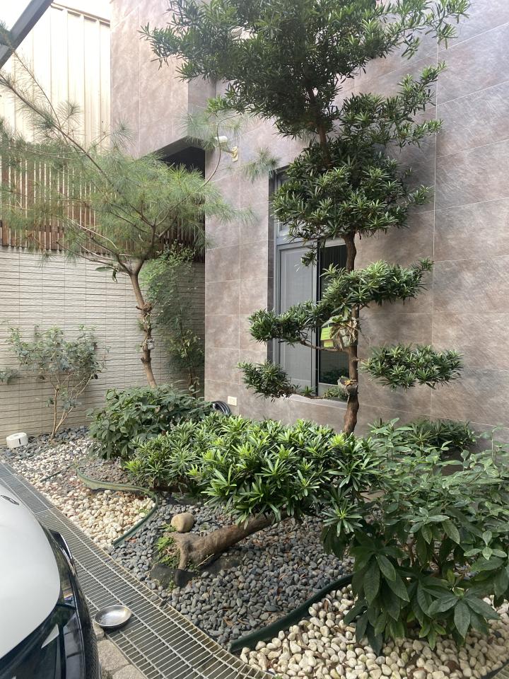 園藝維護案件圖片
