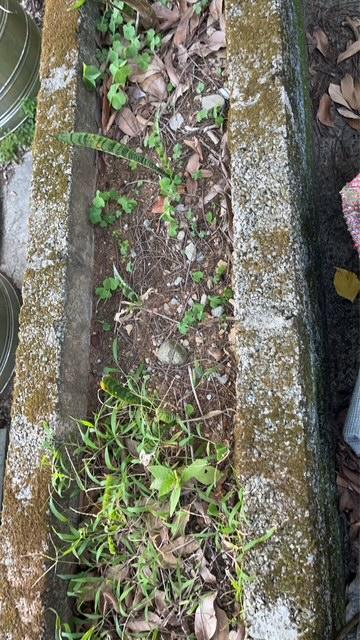 圍籬工程案件圖片