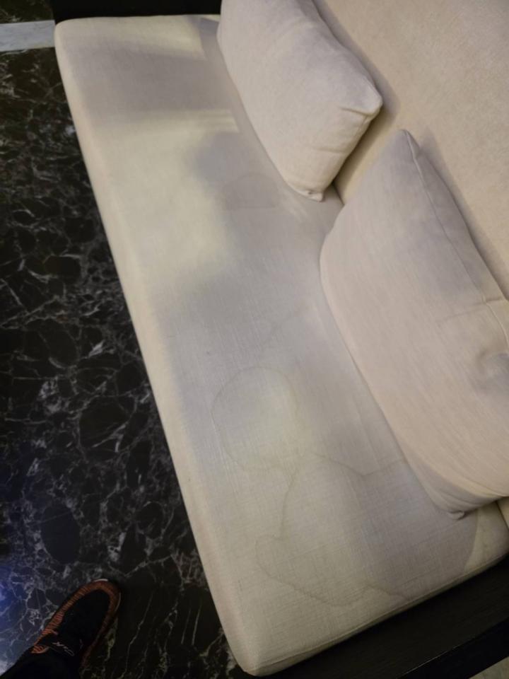 沙發清潔案件圖片