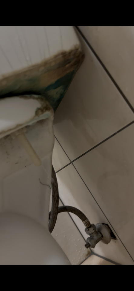 馬桶裝修案件圖片