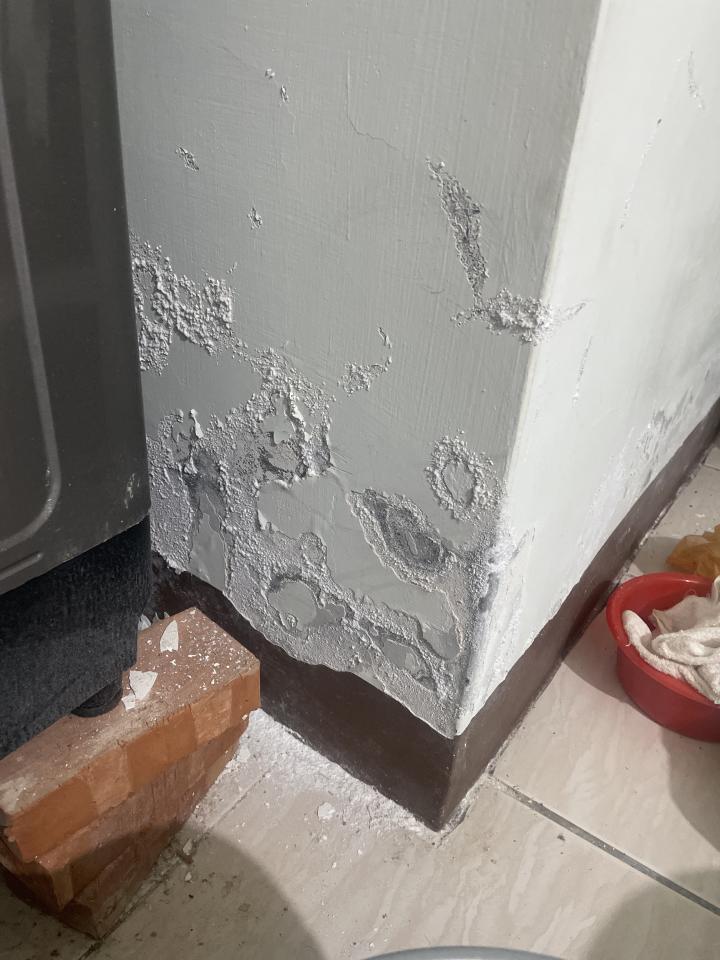 壁癌處理案件圖片