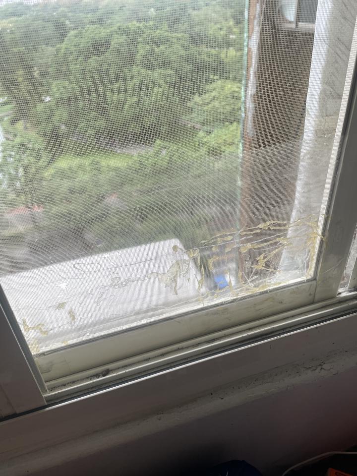 紗窗裝修案件圖片