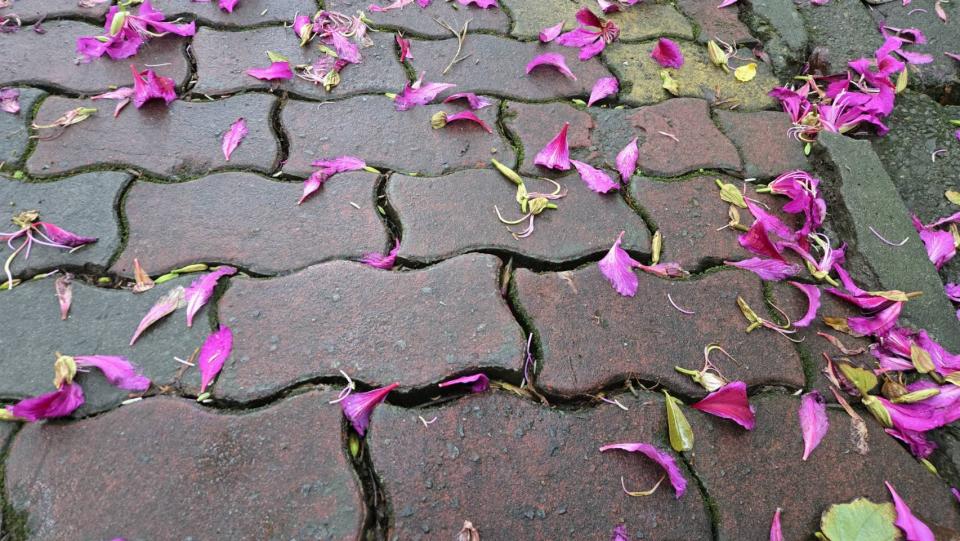 地板維修案件圖片