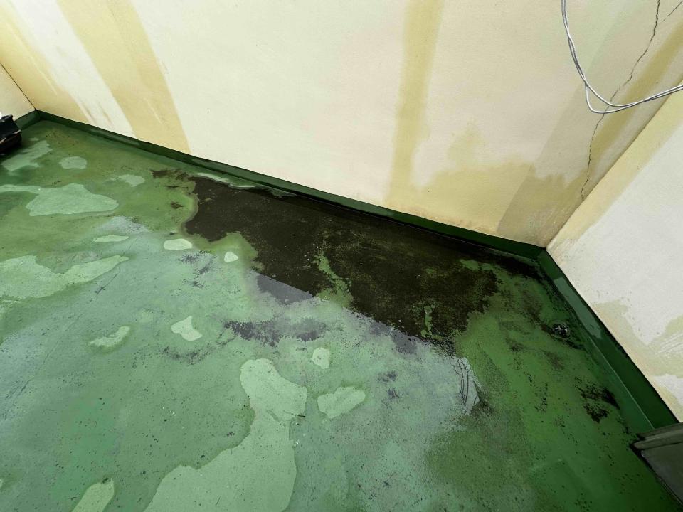 屋頂防水案件圖片