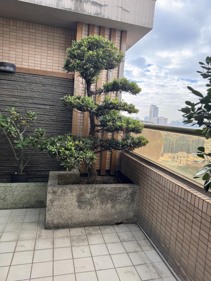 拆除工程案件圖片