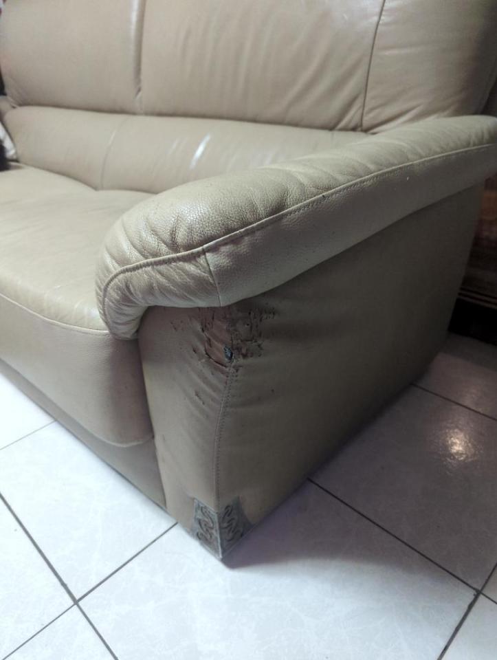 沙發清潔案件圖片