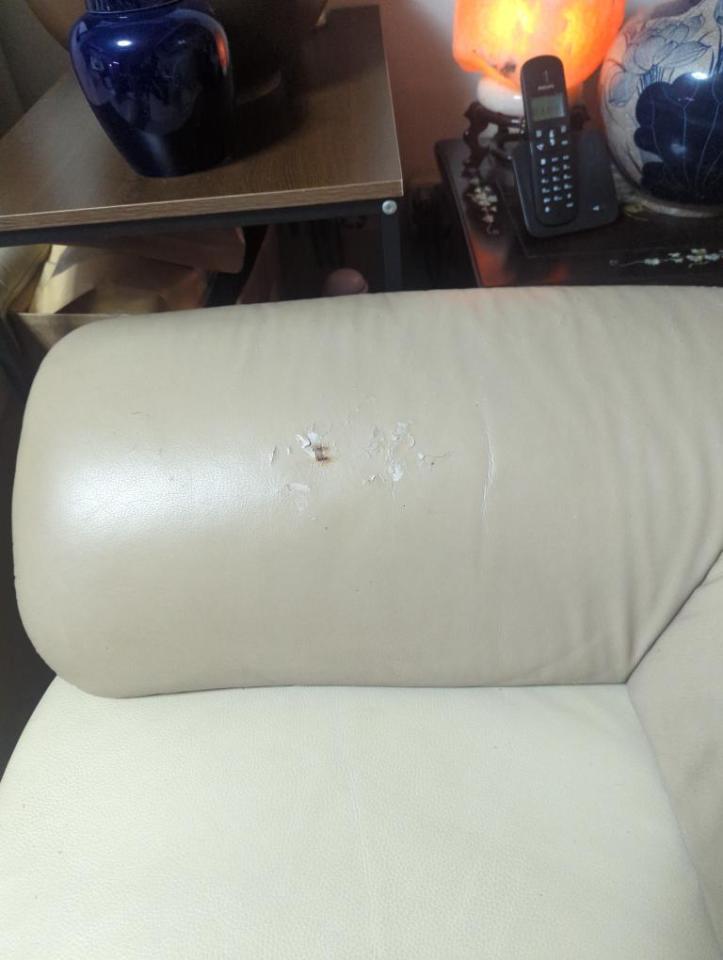 沙發清潔案件圖片
