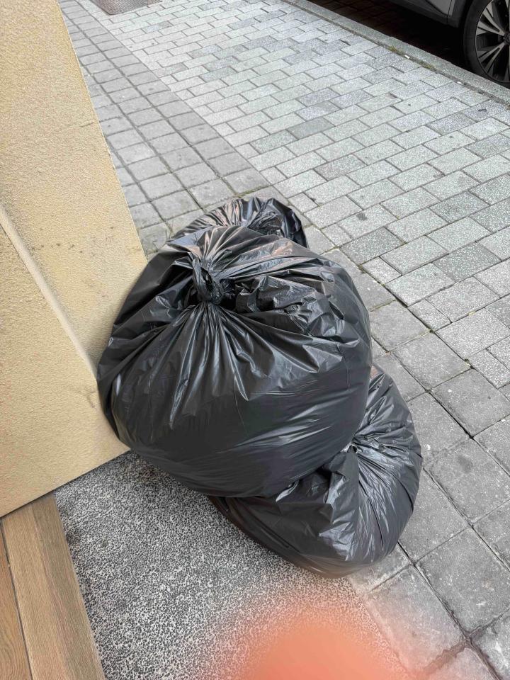 大型垃圾回收案件圖片