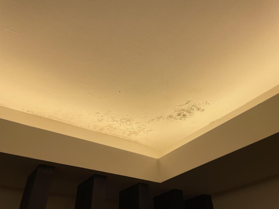 漏水鑑定案件圖片