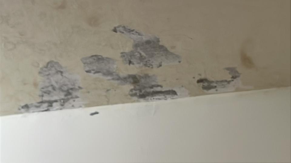 漏水鑑定案件圖片