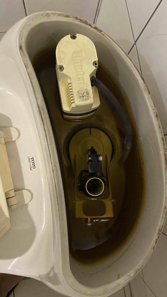 馬桶裝修案件圖片