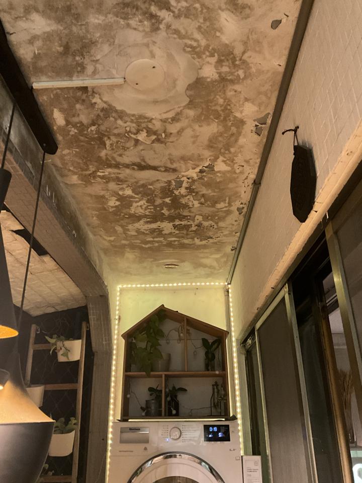 油漆工程案件圖片