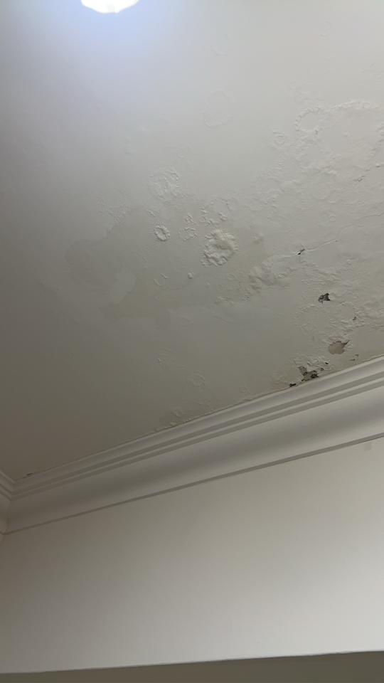 油漆工程案件圖片