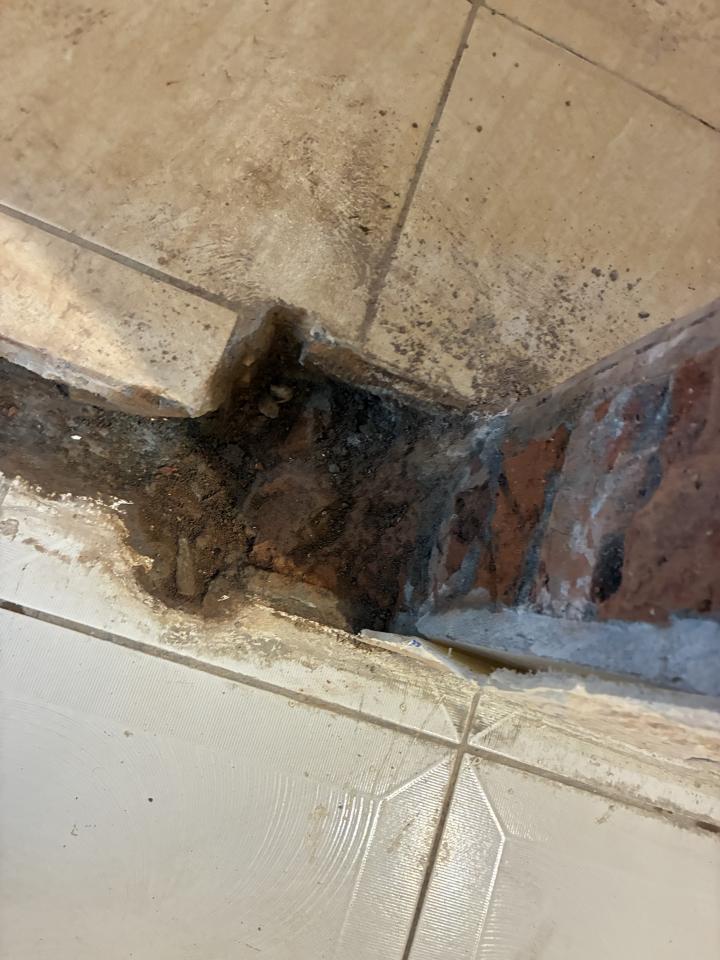 泥作/水泥施工案件圖片