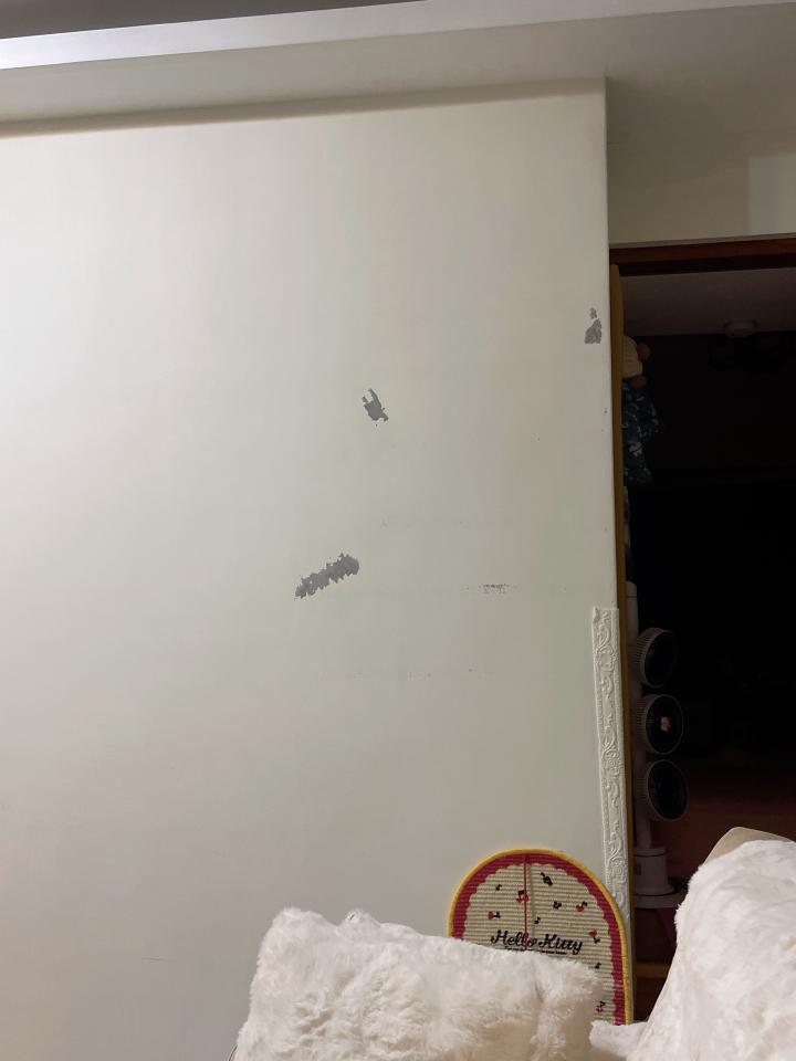 壁紙清除案件圖片