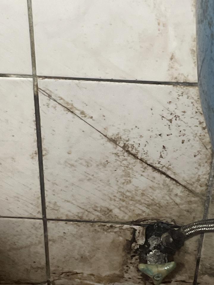 馬桶裝修案件圖片