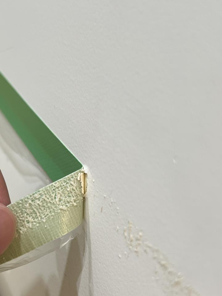 油漆工程案件圖片