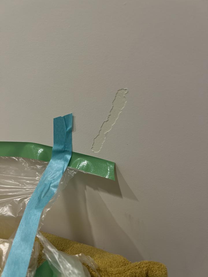 油漆工程案件圖片