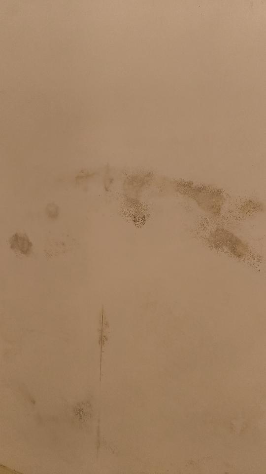 漏水處理案件圖片