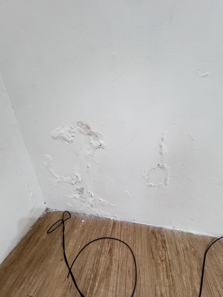 油漆工程案件圖片