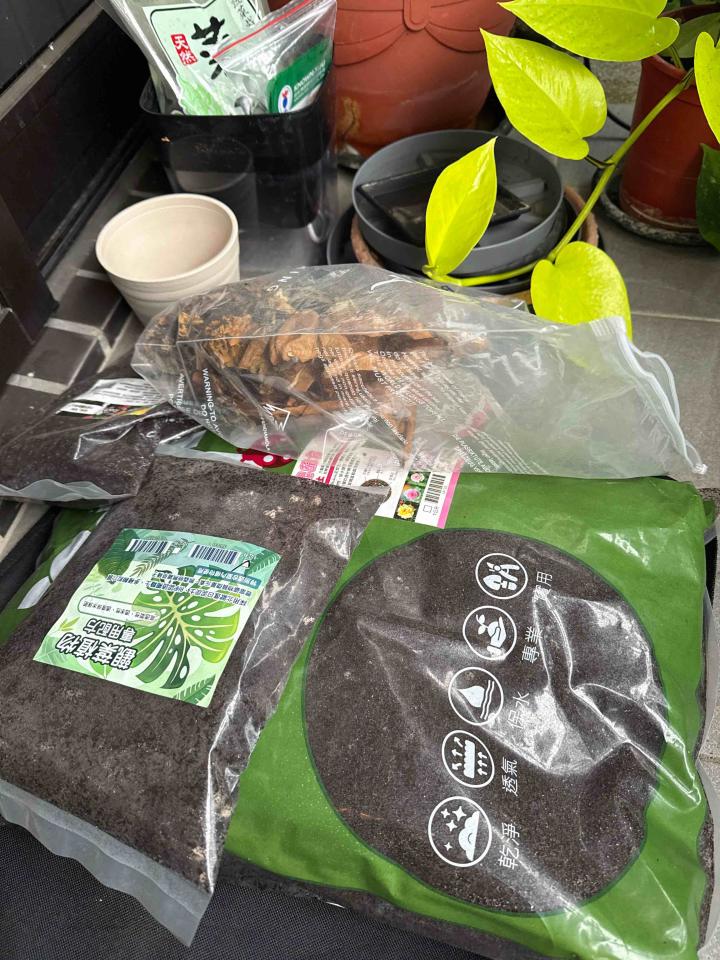 園藝維護案件圖片