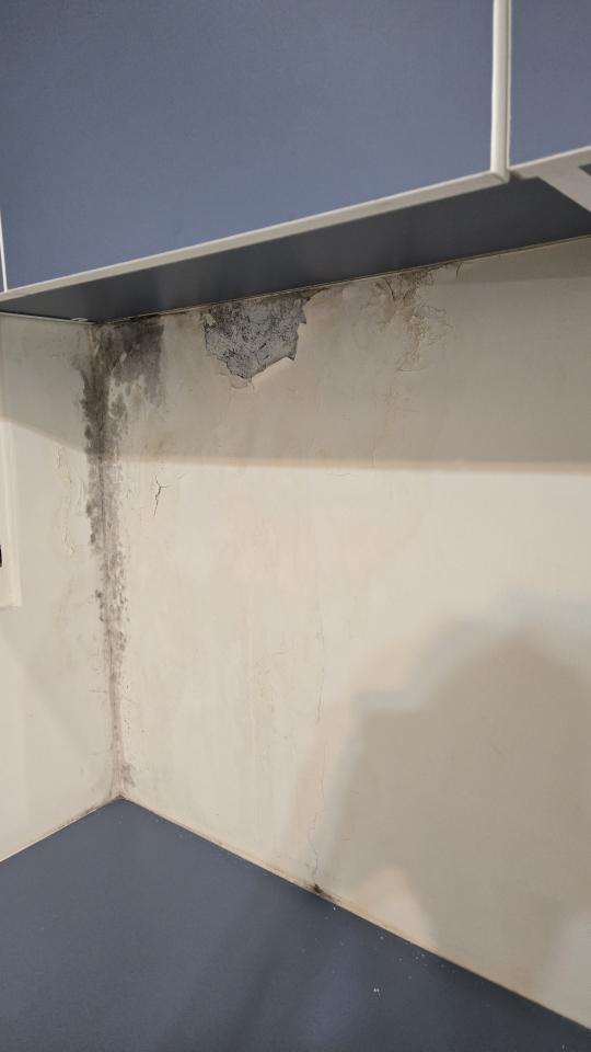 壁癌處理案件圖片