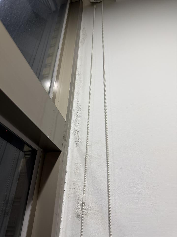 油漆工程案件圖片