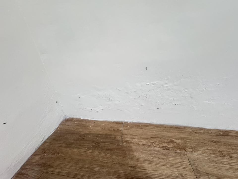 油漆工程案件圖片