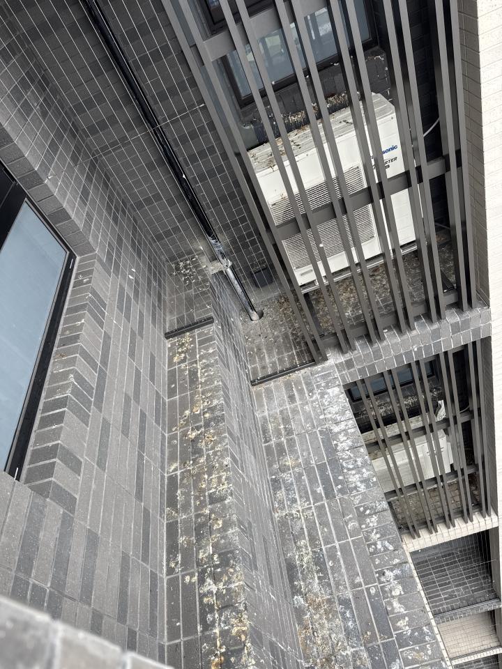 高壓清洗服務案件圖片