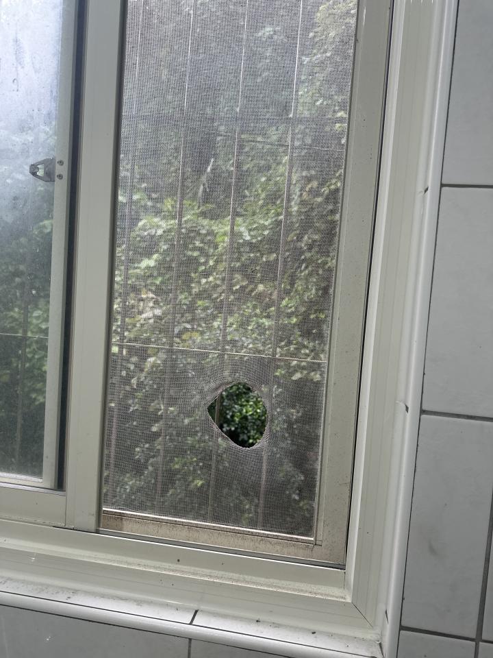 紗窗裝修案件圖片