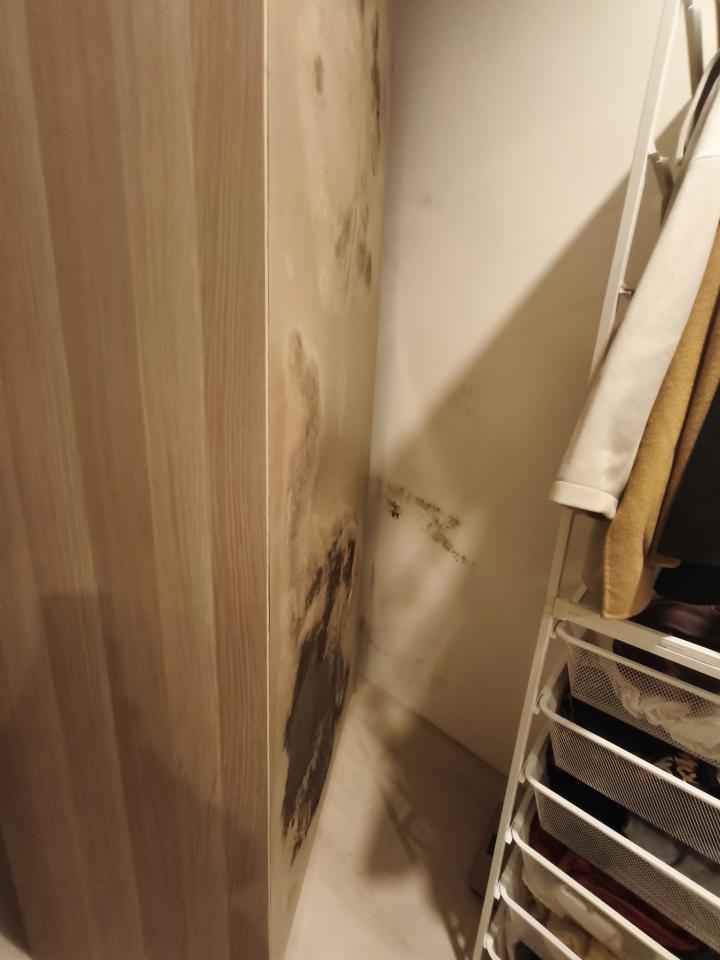 漏水處理案件圖片