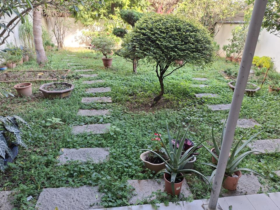 園藝維護案件圖片