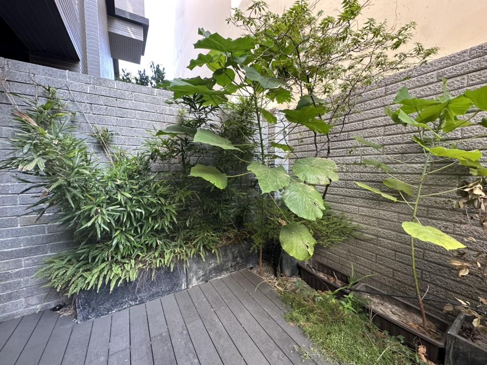 園藝維護案件圖片