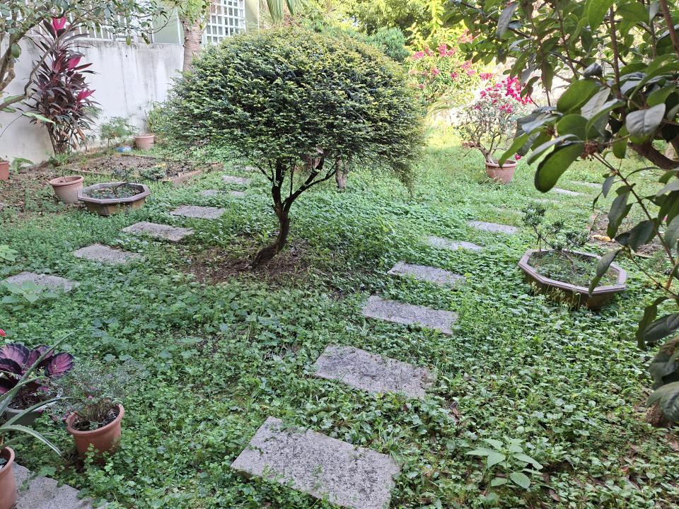 園藝維護案件圖片