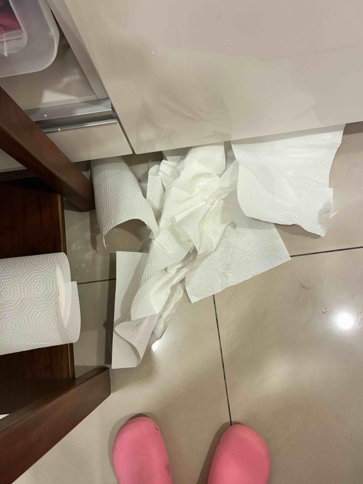 水管維修案件圖片