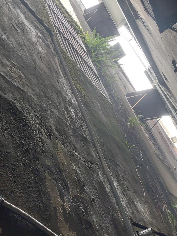 屋頂防水案件圖片