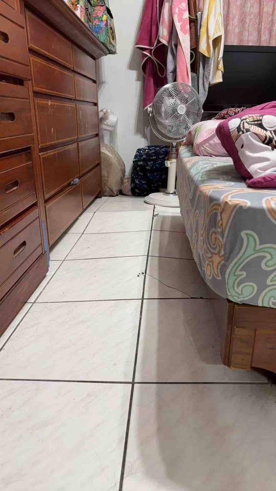 磁磚修補案件圖片