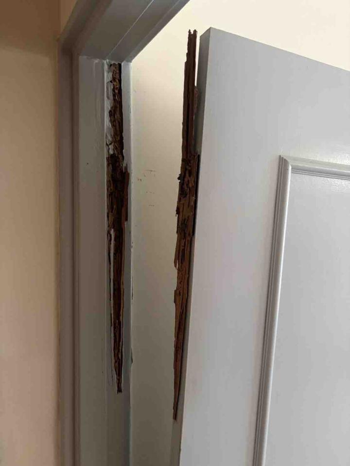 門片安裝案件圖片