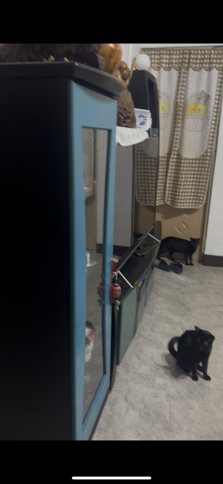 家具搬運案件圖片