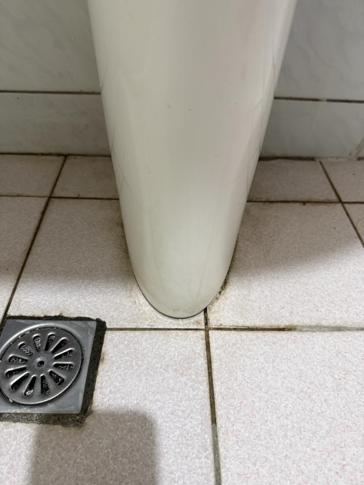 馬桶裝修案件圖片