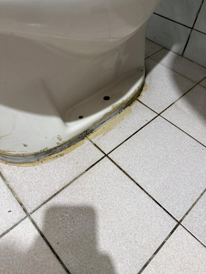 馬桶裝修案件圖片