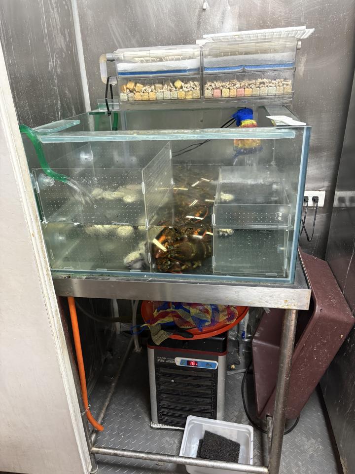 魚缸設計案件圖片