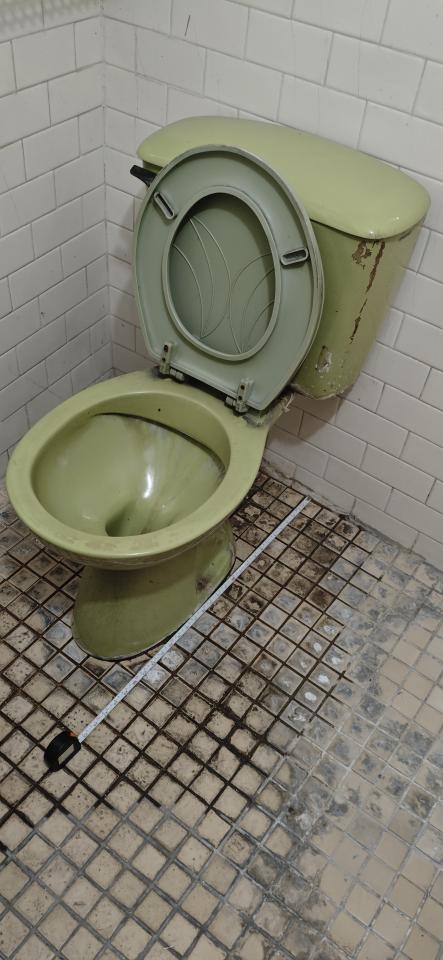 馬桶裝修案件圖片