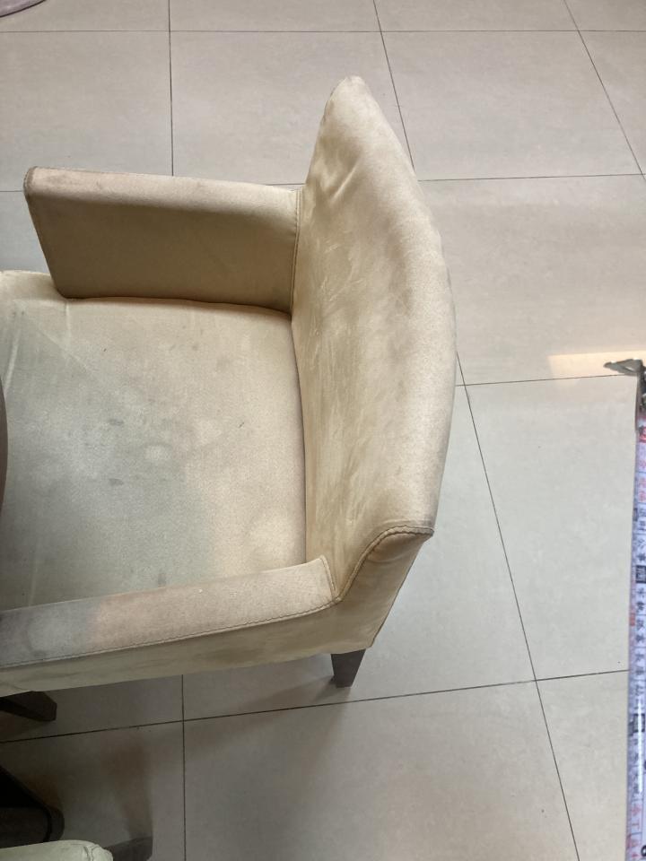 沙發清潔案件圖片