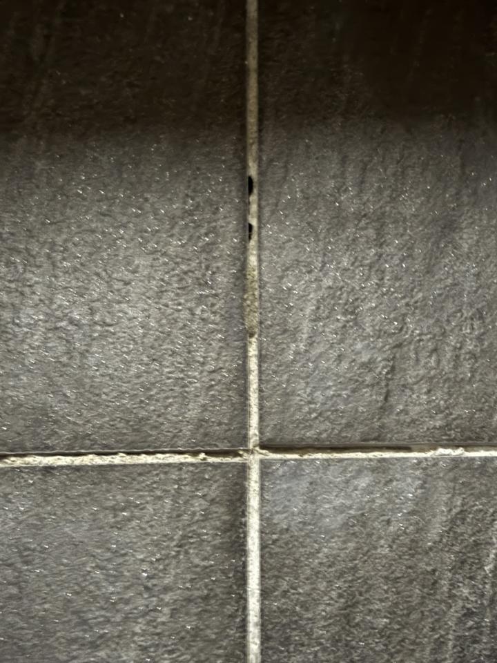 磁磚修補案件圖片